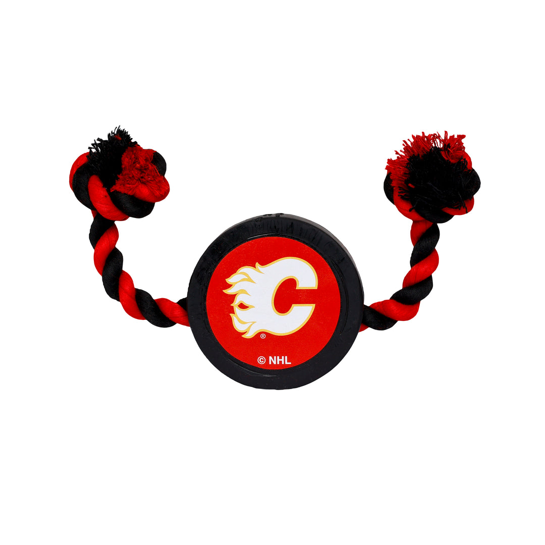 Flames Retro Pet Puck with Rope Toy