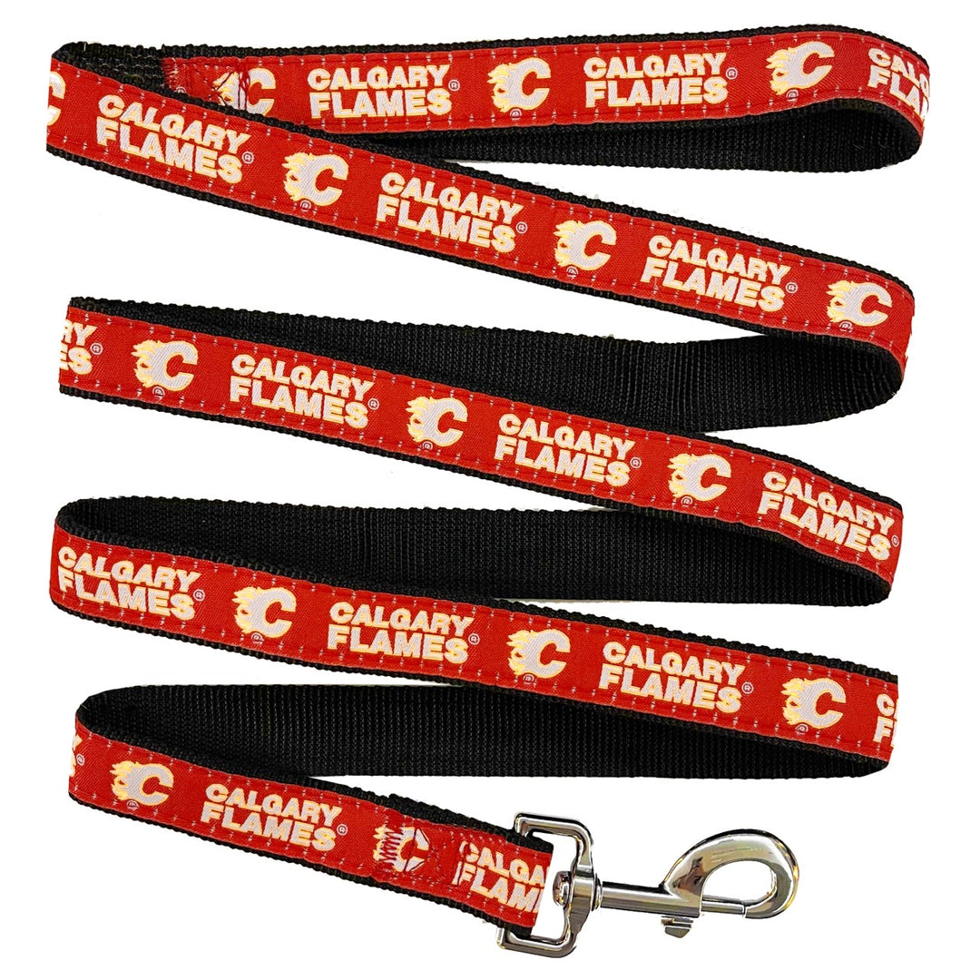 Flames Retro Pet Leash