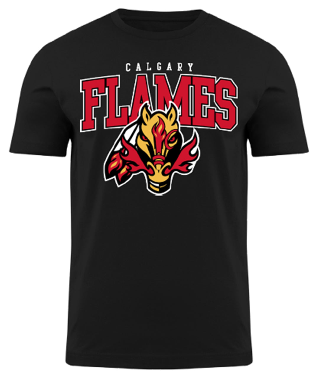 Flames Indigenous Celebration T-Shirt