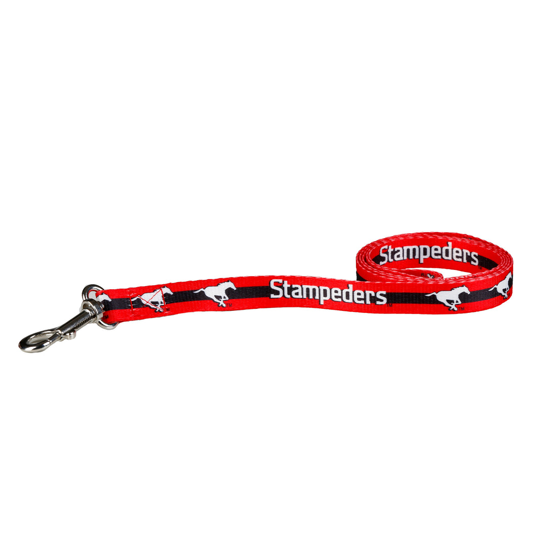 Stamps 4 Foot Dog Leash