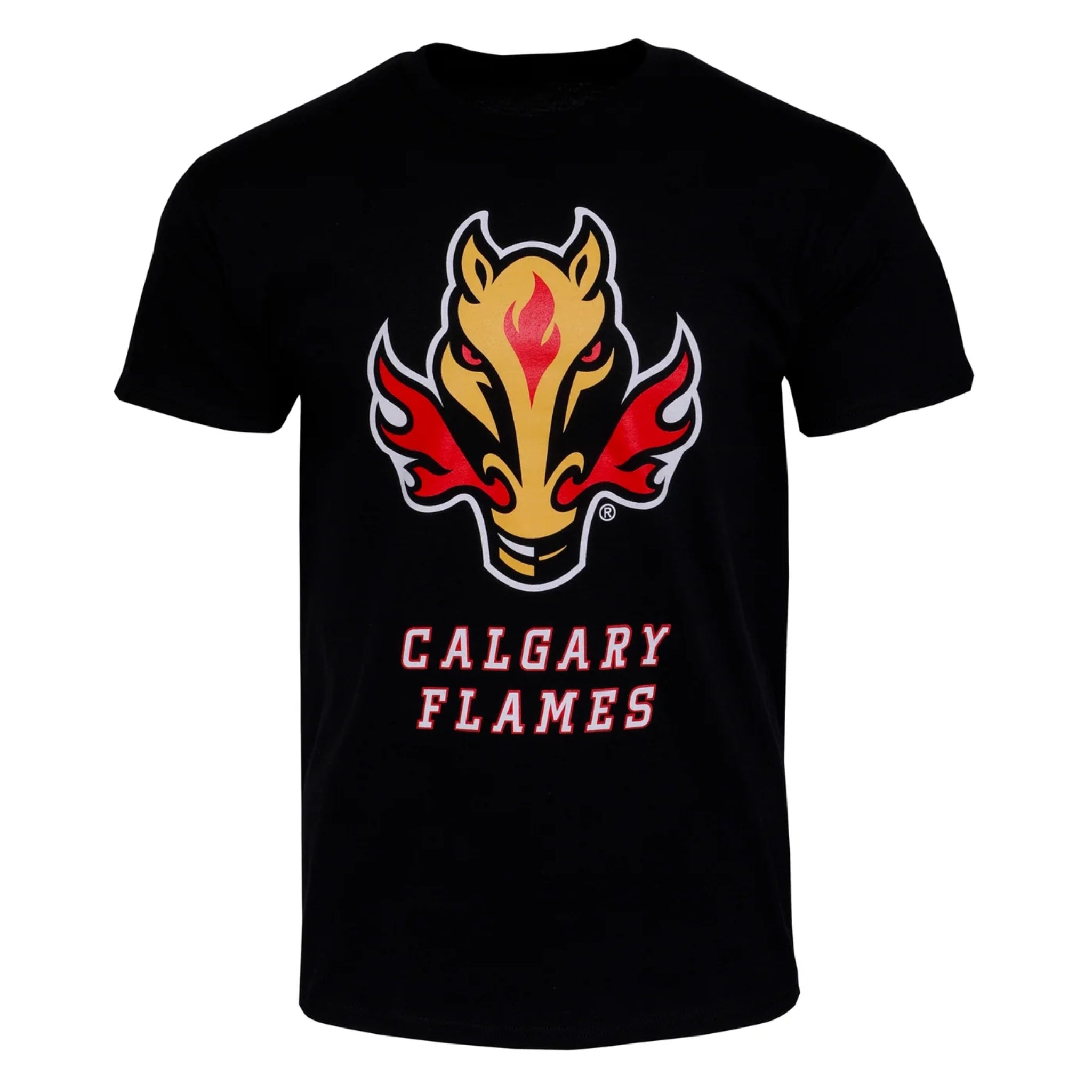 Flames Blasty Basic Logo T-Shirt – CGY Team Store
