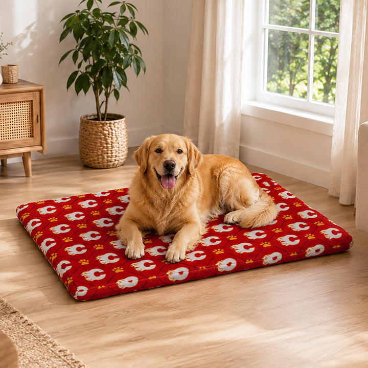 Flames Pet Bed 27"x36"