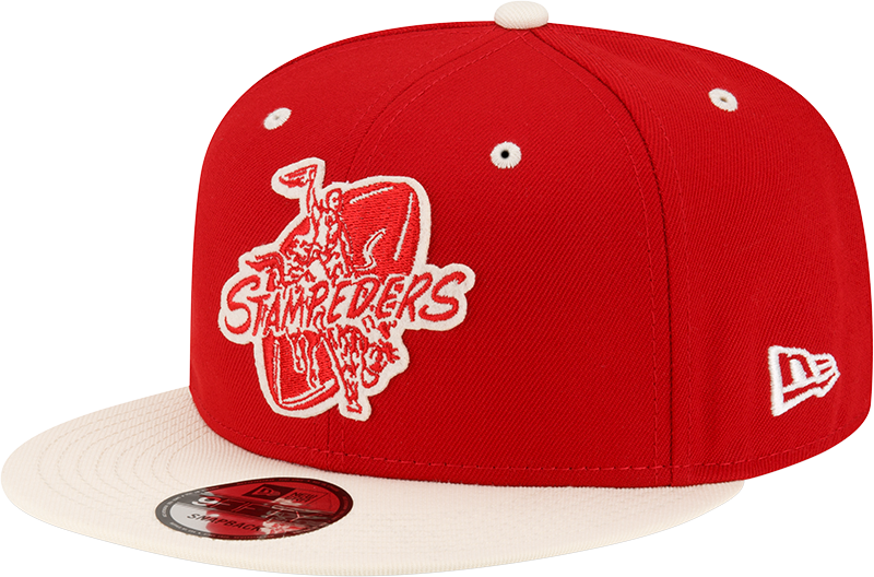 Hatworld snapbacks 2024