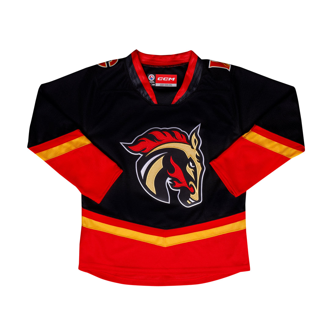 Wranglers Youth Quicklite Third Jersey