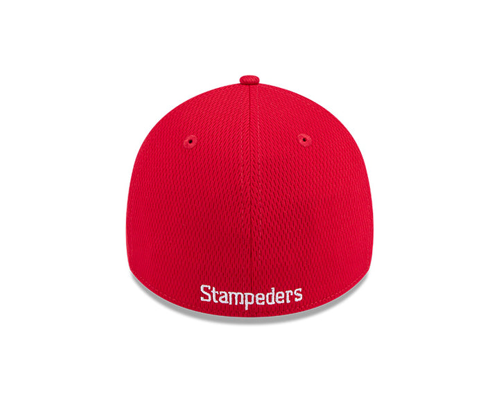 Stamps NE 3930 Active Stripes Cap