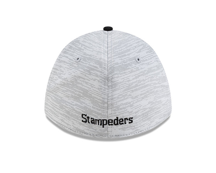 Stamps New Era 3930MC Tech Cap