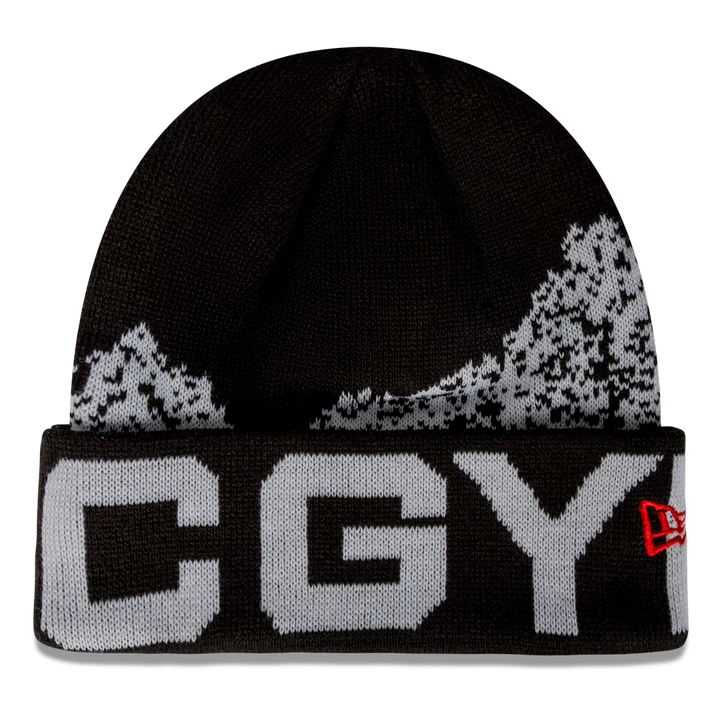 Grey Cup 113 New Era Peak Cuffed Knit Toque