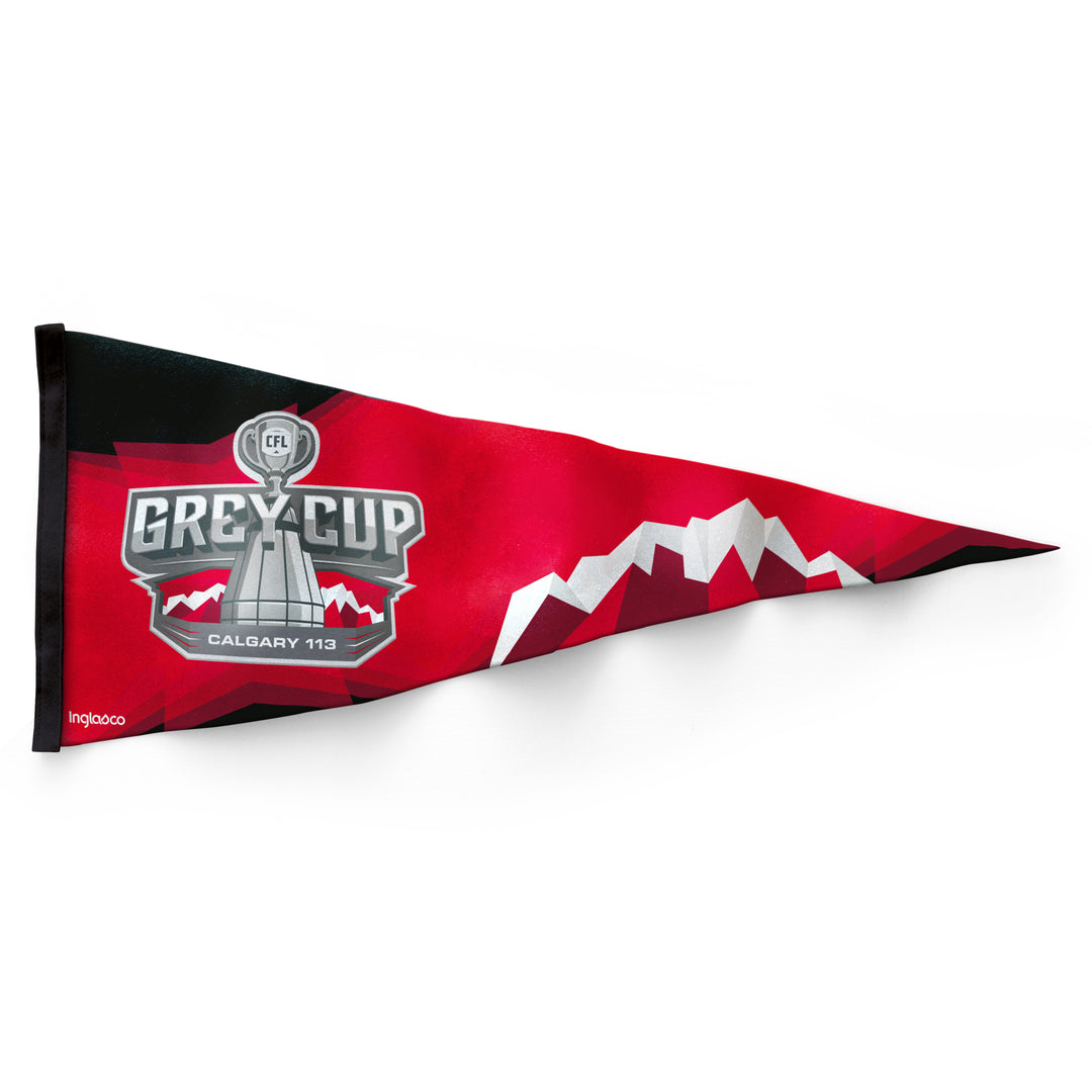 Grey Cup 113 Collector Pennant
