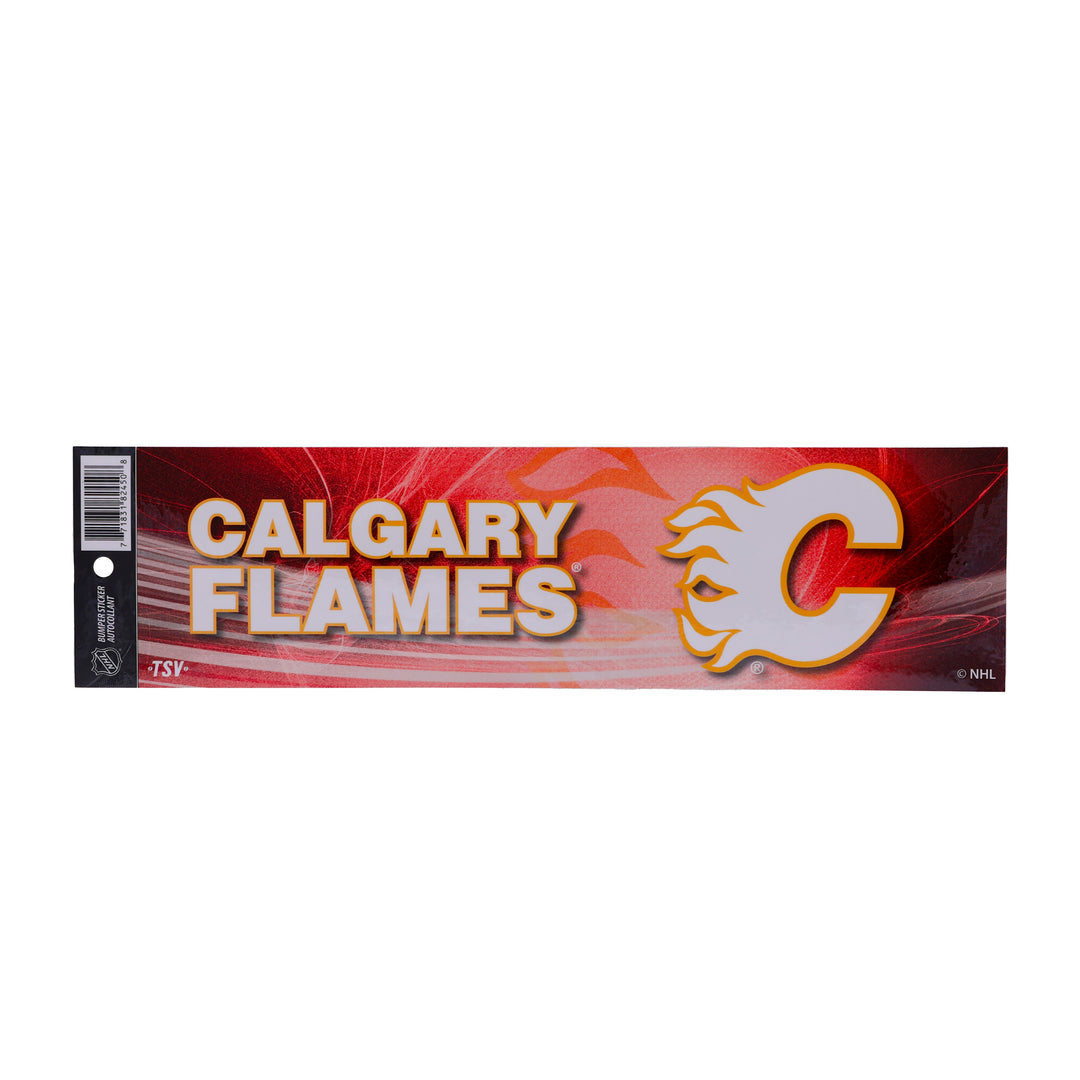 Flames Bumper Sticker